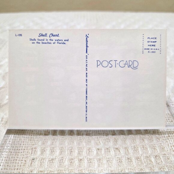 Vintage Shell Chart Waters Beaches of Florida Lusterchrome Tichnor Postcard UNP - Picture 4 of 7